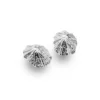 Silver Limpet Shell Stud earrings